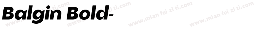 Balgin Bold字体转换